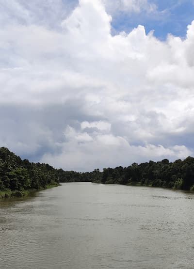 Piravom Nechoor River Piravom Nechoor River